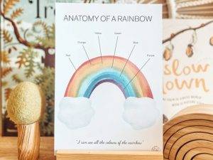 The Anatomy of a Rainbow